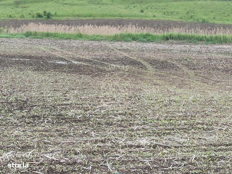 Teren intravilan 1800 mp cu utilitati-ideal casa P+2E-Sarata - 1