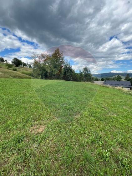 Teren 4397 mp Intravilan  Manastirea Humorului / Lunga Bucovina - 19