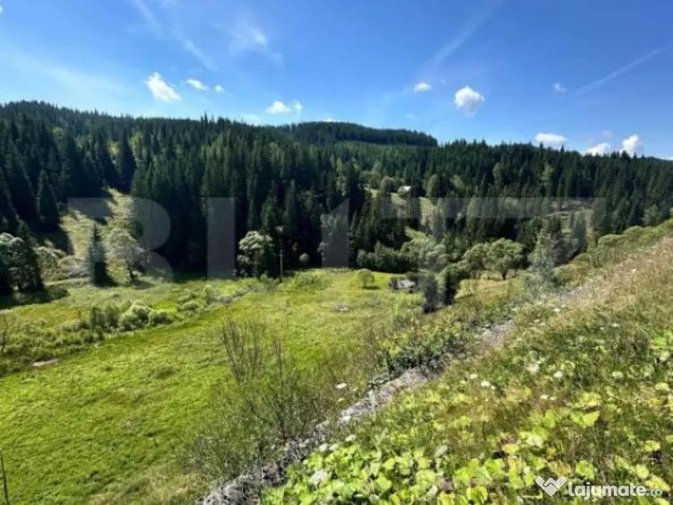 Teren intravilan de vanzare, 6941 mp, zona Mestecani? - 2