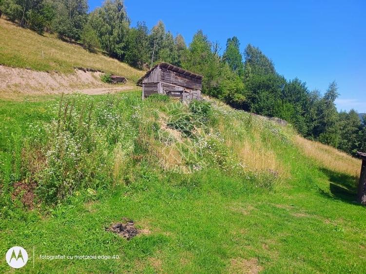 Teren extravilan investiție Rachitele Cluj - 31.555 mp - 1