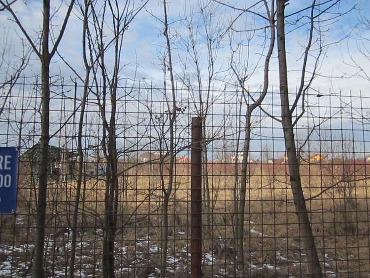 Domnesti-Teghes-Padure - 14