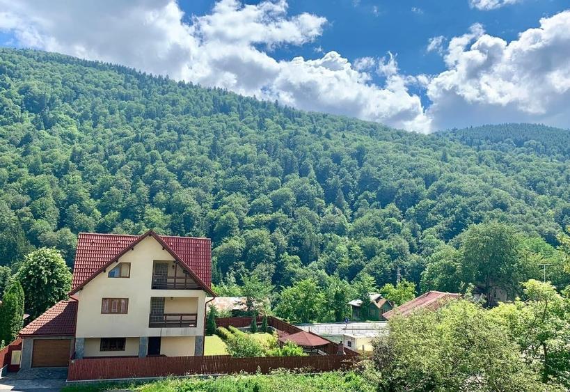 Vilă premium de vânzare în Sinaia – Platoul Izvor - 2