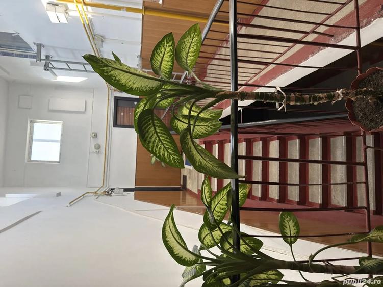 Proprietar vand apartament cu 4 camere - 3