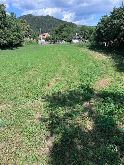 Vanzare teren intravilan Garcina- Neamt - 1