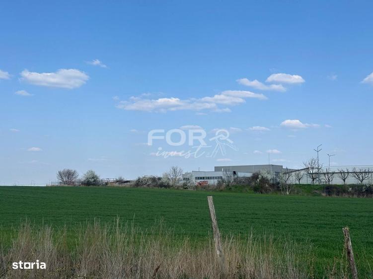 Teren intravilan de vanzare 1000 mp zona Aeroport Oradea - 3