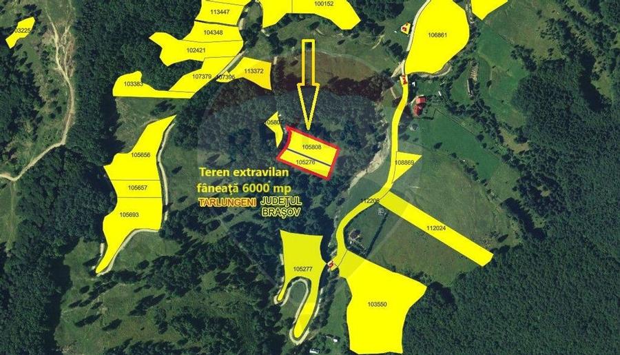 Teren 6000 mp, Vama Buzaului - vedere catre Ciuca? - 14