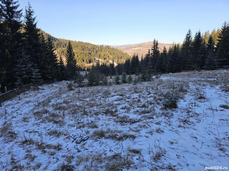 Teren extravilan de vanzare inconjurat de padure in Bucovina zona Breaza - 7