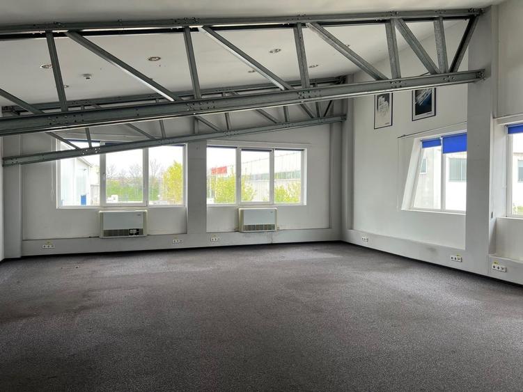 Spatiu de depozitare si productie Iuliul Maniu - 12