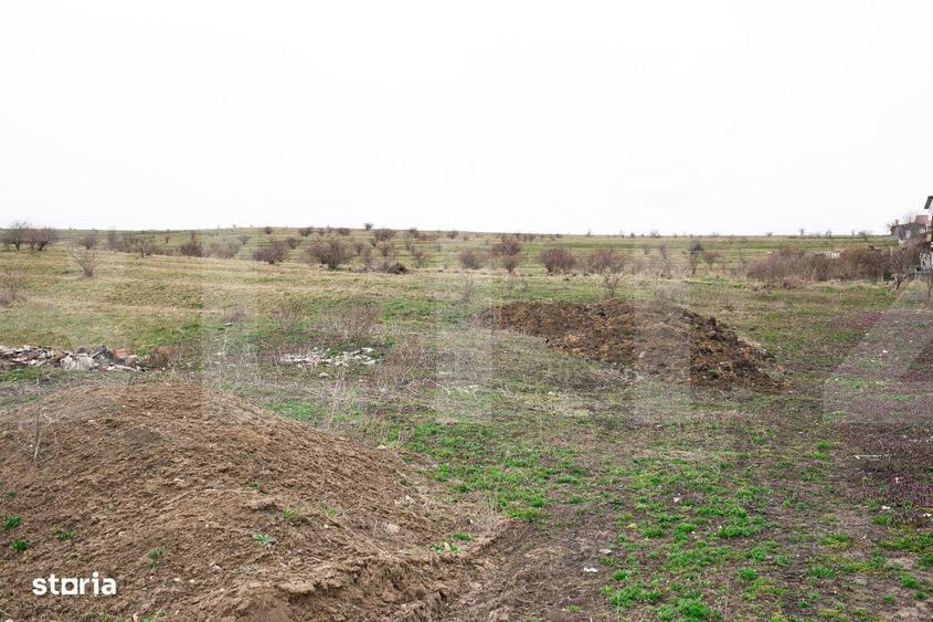 Teren 5800 mp in Campenesti cadru natural deosebit, ideal pentru i - 2