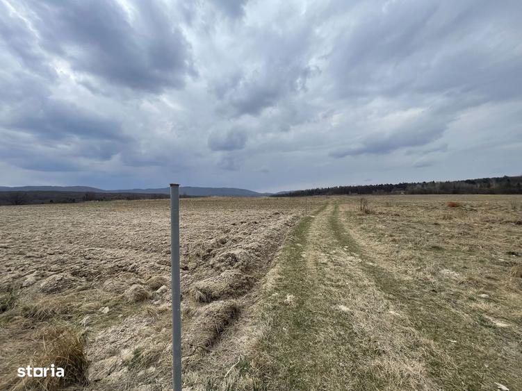 TEREN EXTRAVILAN | 23 ARI | HORODNIC DE SUS - 3
