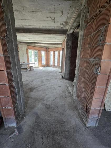 Casa individuala loca?ie centrala toate utilita?ile la asfalt Mo?ni?a Veche - 13