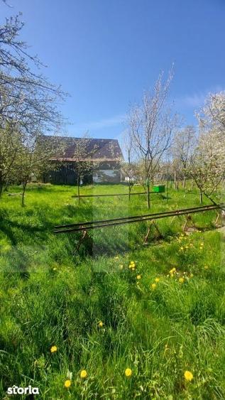 Casa autentica 3.100 mp teren, livada si parau I Lisnau - 8
