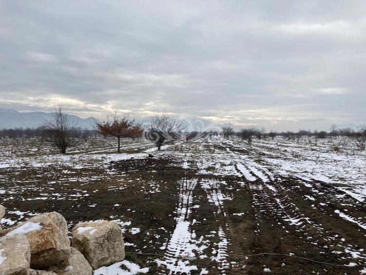 Teren intravilan de vanzare pentru constructii case Ghimbav - 4