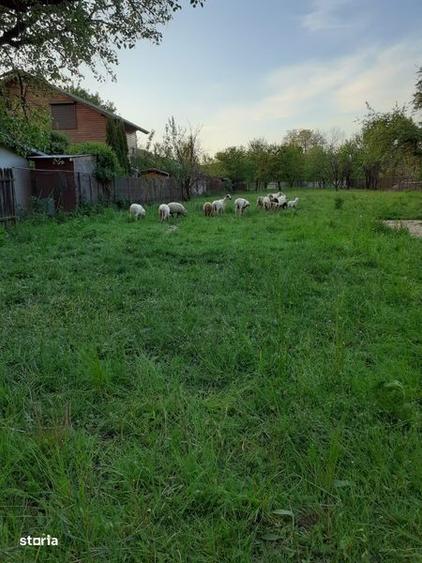 Teren intravilan! - 3