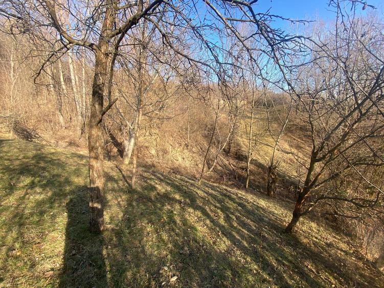 Teren de vanzare 1.622 mp Cornu de sus - 3