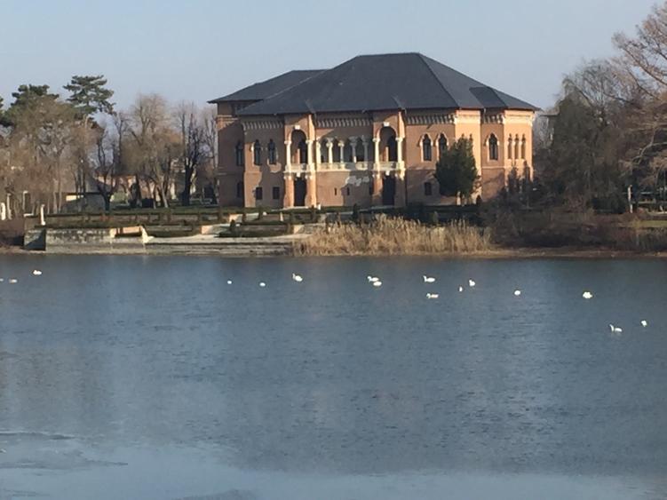 Mogosoaia,vila robusta cu vedere spectaculoasa catre lac,palat,parc,1750mp teren - 20