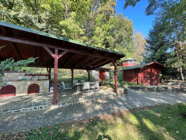 Proprietate deosebita in Ocolis - 2