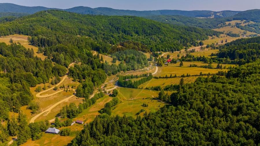 Teren 20000 mp, sat Dalghiu, com Vama Buzaului - 8