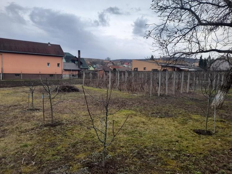 De vanzare 2 case pe teren de1561mp - 5