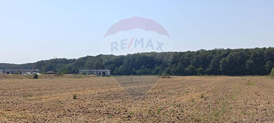 Teren 650mp Ghermanesti / Strada Milcov - 4