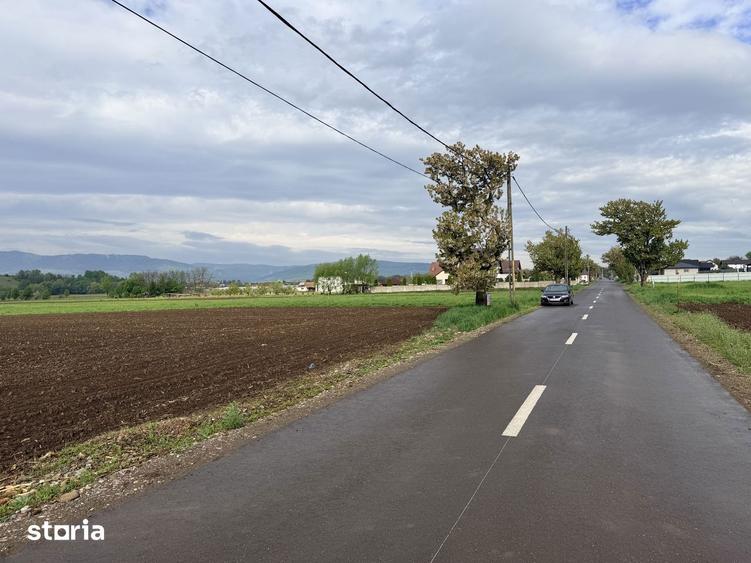 Targu Neam? - Str. Valea Seaca: Teren intravilan, asfalt, utilita?i - 7
