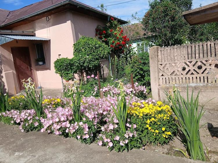 casa de vanzare - 1