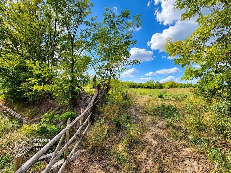 Teren intravilan de 1260 mp, în Ususău