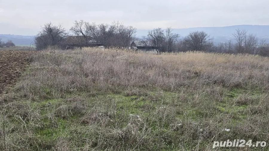 Teren si Casa 4.021 mp in comuna Goie?ti - 6