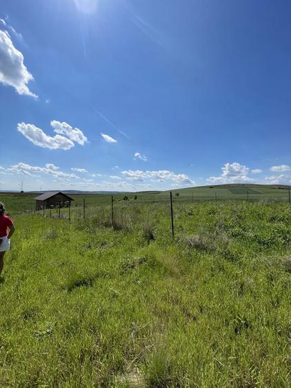 Teren intravilan - 3