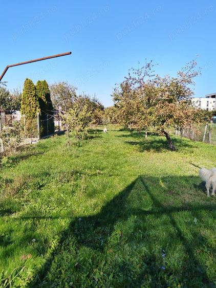 Teren 1362 mp + anexe - 10