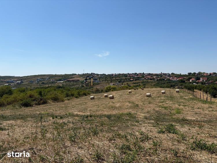 Teren de 6355 mp, în Paleu
