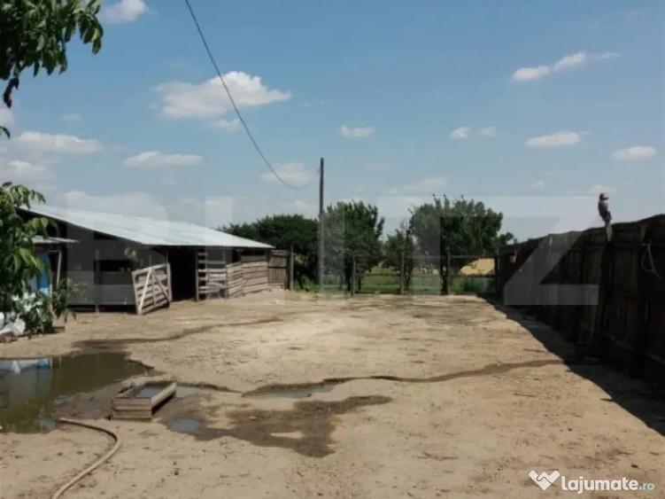 Casa pe parter 50mp utili + teren 4700mp, Bailesti - 3