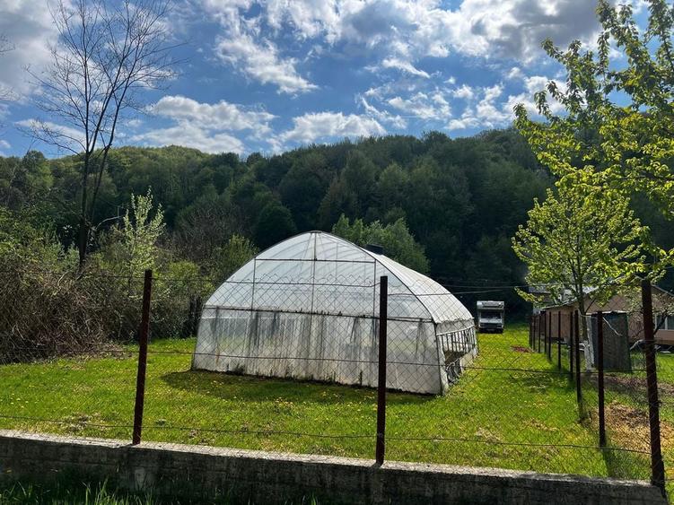 De vanzare teren Telega - 5