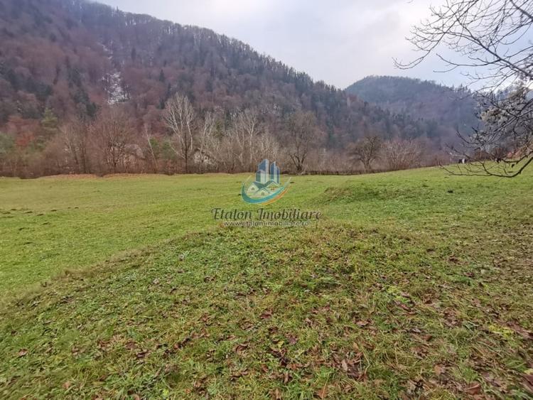 Teren Straja - Pangarati 3560 m, zona de Pensiune - 9