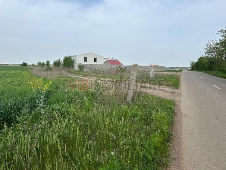 Teren intravilan de 9000 mp, în Dascălu