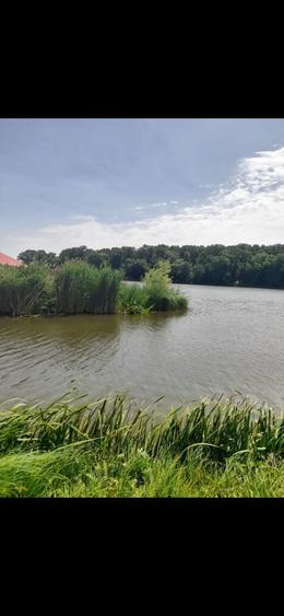 PARTICULAR - Teren Caldarusani de vanzare - 3