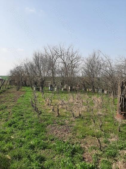 Refugiu la ?ara, aproape de Bucure?ti casa tradi?ionala cu teren 3.113 mp - 6