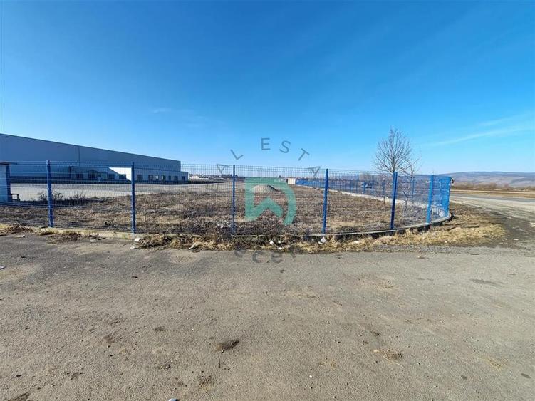 Hala Industriala, 5500 mp, Feldioara, Brasov - 7