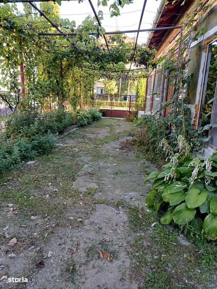 Casa individuala modernizata, mobilata, cu teren in Gurghiu, Mures - 7