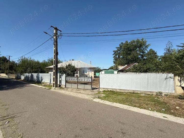 Casa de vanzare cu teren de 5000 mp - 2