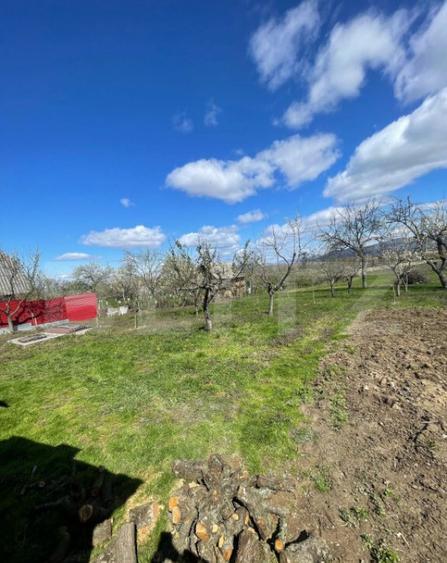 Casa cu 3 camere, 90 mp, 2 anexe gospodaresti si teren de 30 - 11