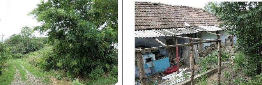 Casa si teren Costinesti, Botosani, ID: R2728052 - 15