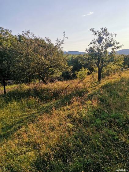 Vand teren livada Dobreni Neamt spre Prohal - 7