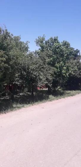 Vand casa locuibila Izvoarele - 1