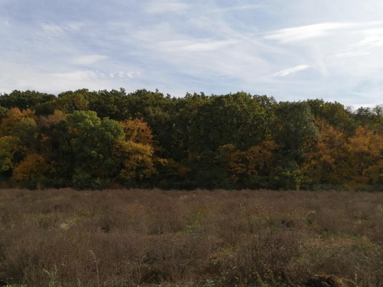 Vand teren intravilan, pentru servicii, zona verde inclus, înainte Polivalenta - 1