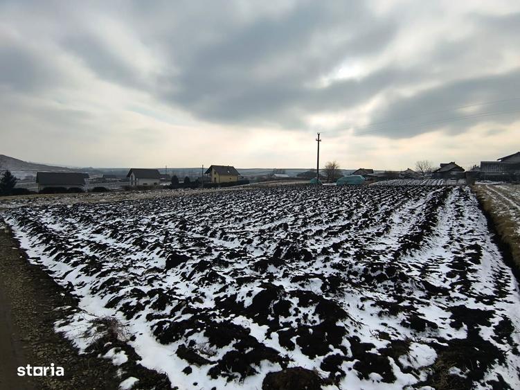 Teren 991 MP | Moara Nica | 22 ml Deschidere | Utilitati | 38.000 - 3