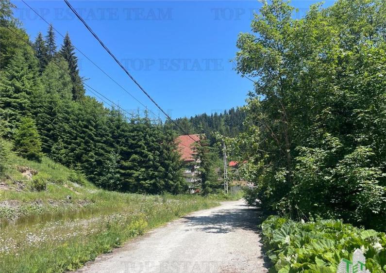 IDEAL INVESTITIE TEREN PREDEAL, 1936 mp intravilan, toate ut - 4