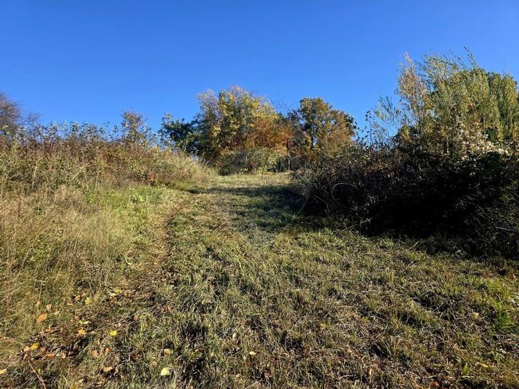 Casă / Vilă cu 5 camere de vânzare - 8