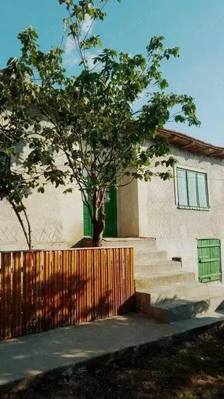 Casa la tara Camena, jud Tulcea - 4