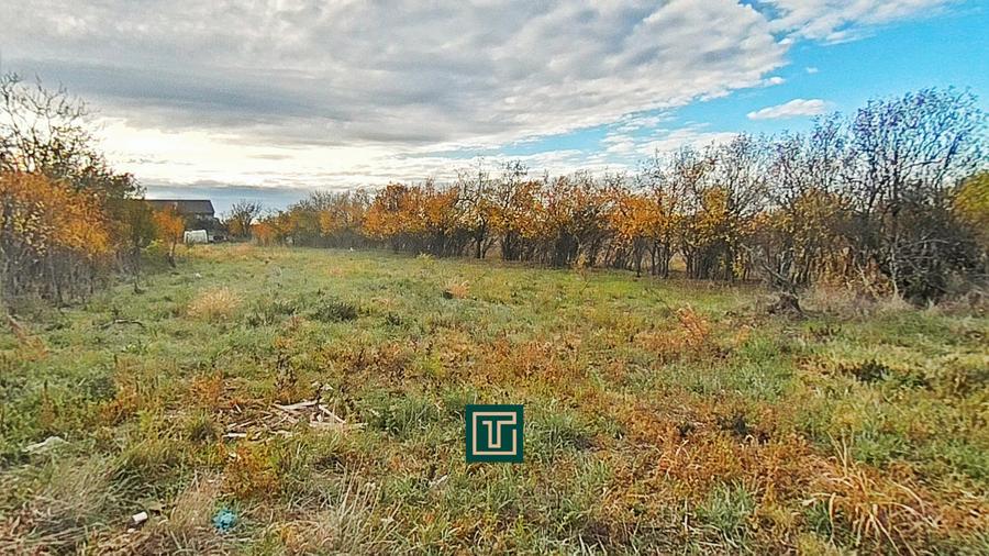 Teren intravilan de vânzare în Aluniș, județul Arad - 6